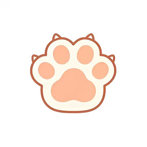 公司成立